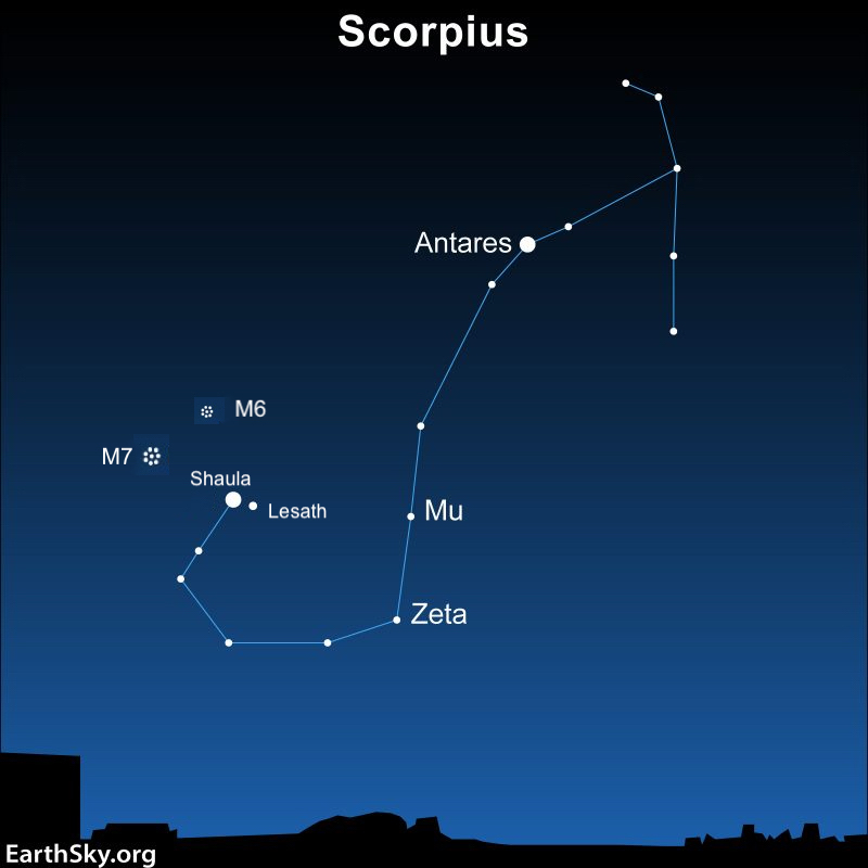 White dots and lines to illustrate the constellation of Scorpius and two star clusters.