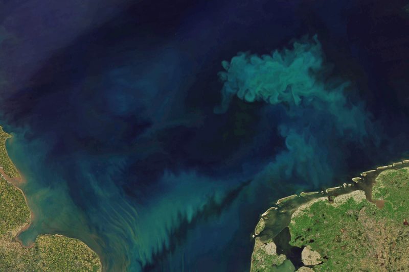 Ocean color changes: Satellite view of an ocean with dark blue and some lighter blue plumes.