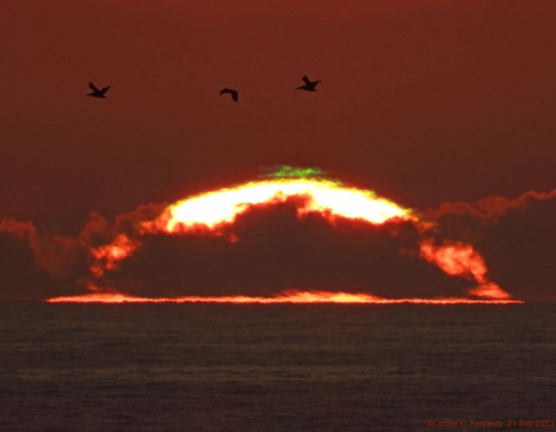 A bright sun half above the ocean with a dark cloud blocking most of it, plus birds above and a small wisp of green atop the sun.