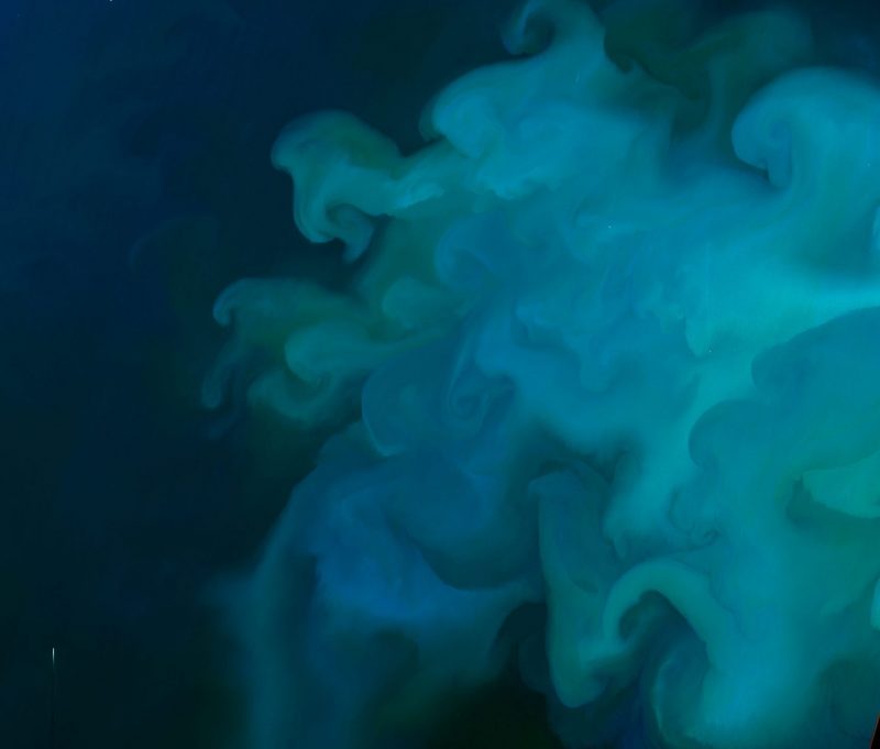 Oceans turning greener: A satellite view of the North Sea showing dark blue to black with swirling plumes of lighter blues.