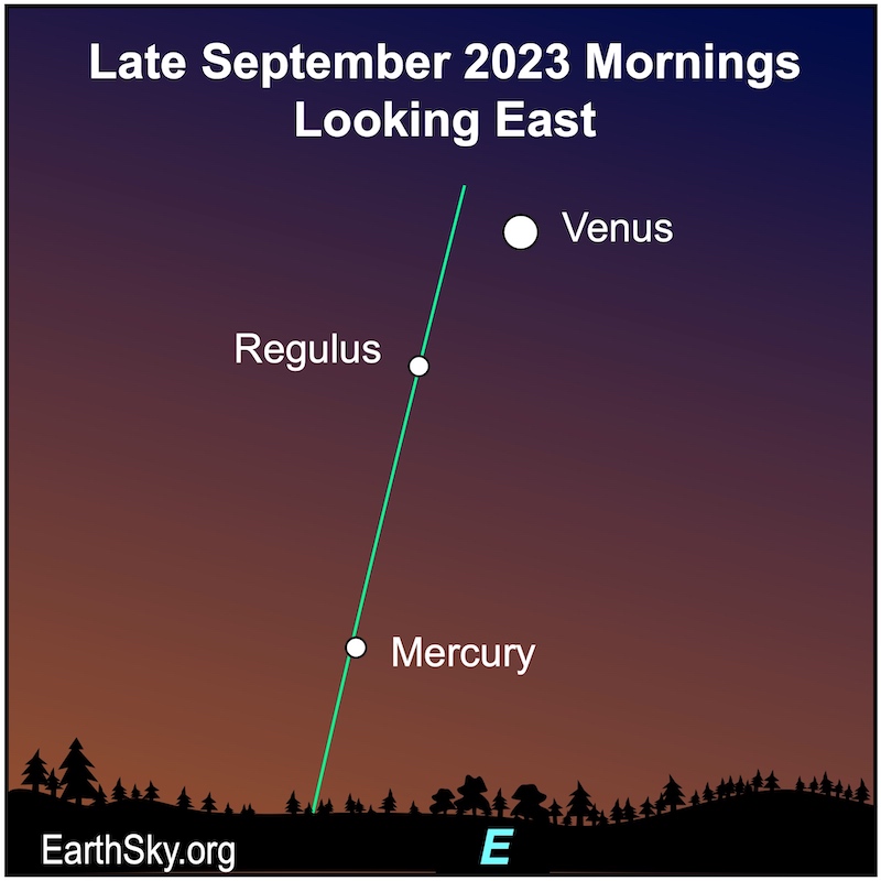 White dots for Mercury, Regulus and Venus, plus a green ecliptic line for Northern Hemisphere viewers.