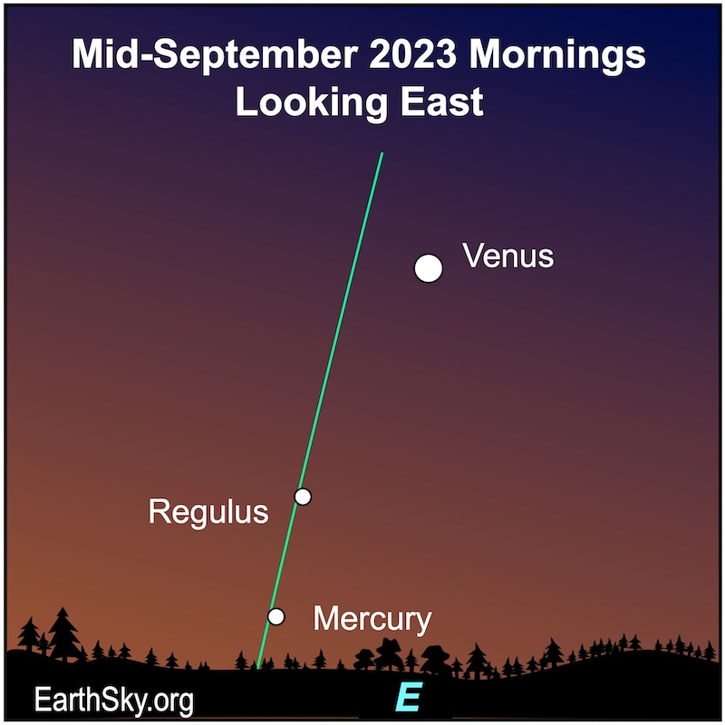 3 white dots in a line. Mercury is at the bottom, close to the horizon. Regulus is higher and Venus is at the top.