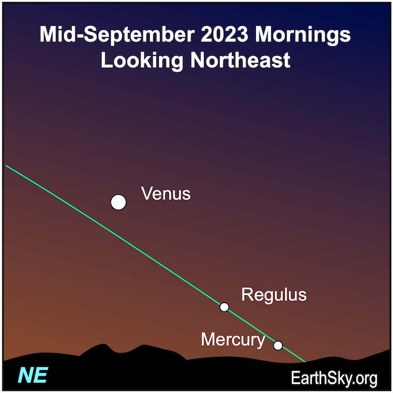 White dots for Mercury, Regulus and Venus, plus a green ecliptic line for Southern Hemisphere viewers.