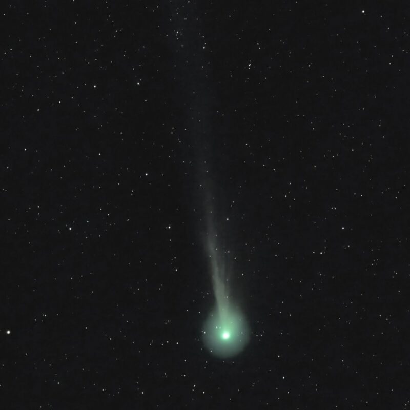A comet with a green and round fuzzy head with a thin tail flowing away in a field of tiny scattered stars.