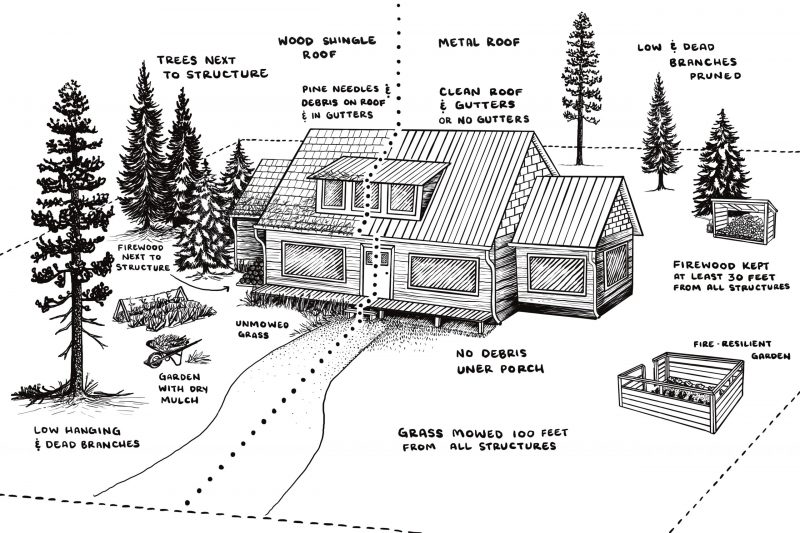 Drawing of a house with trees close and messy roof on one side and trees farther away and clean foundation on the other.