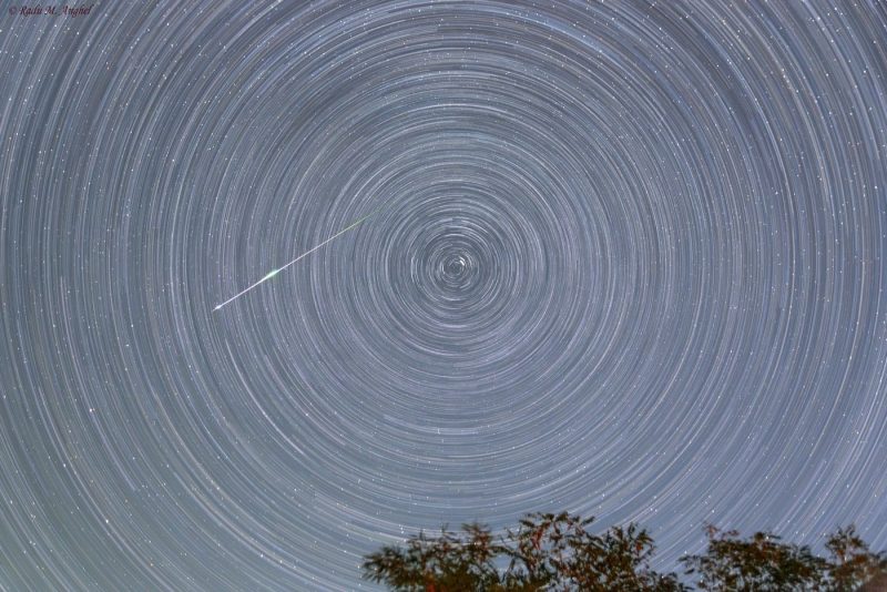 Myriad white concentric circles around Polaris, filling the image, with a brighter white streak across.