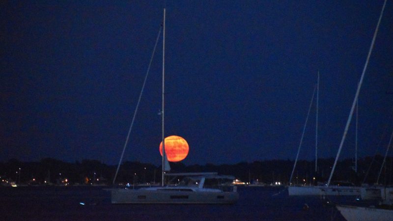 Dark blue night scene with orange full moon on the horizon behind a sailboat.