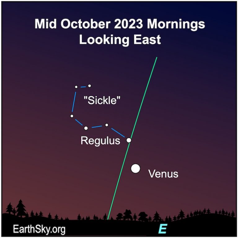 Visible planets and night sky for October