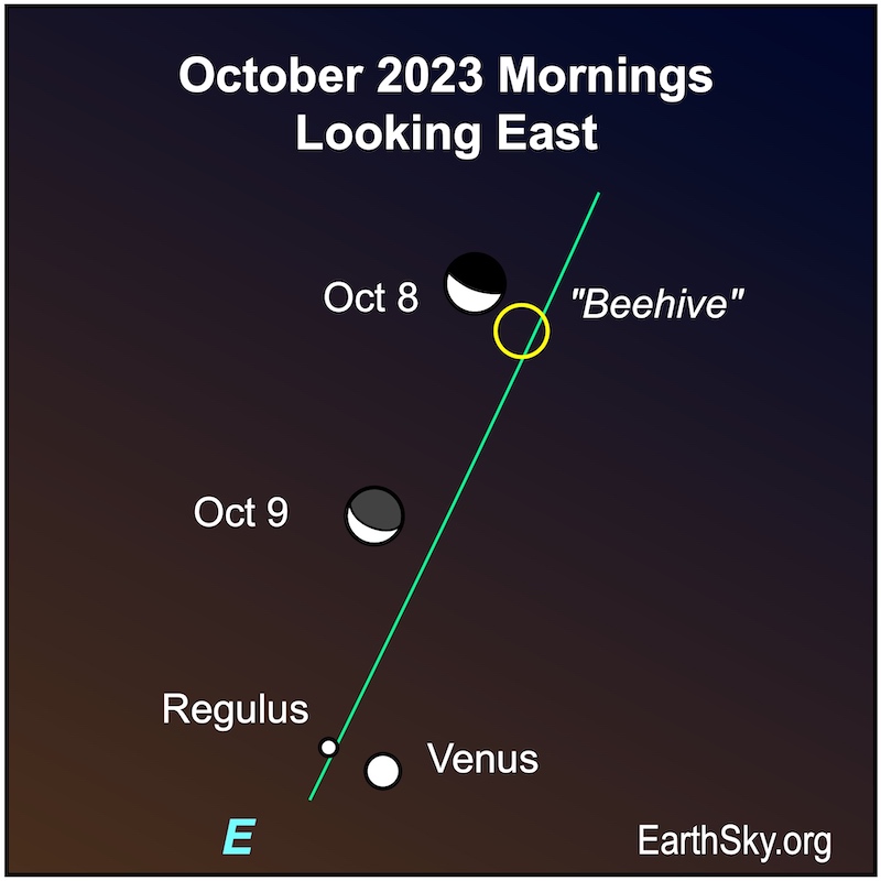 White dots for the moon on 2 days and white dots for Venus and Regulus, plus a green ecliptic line with a yellow circle for the Beehive star cluster.