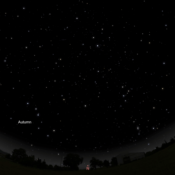 Animation of the Big Dipper at four locations around Polaris in starry sky.