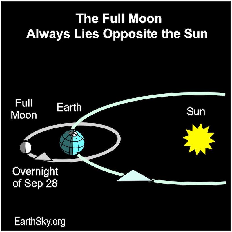 Full moon lies opposite the sun