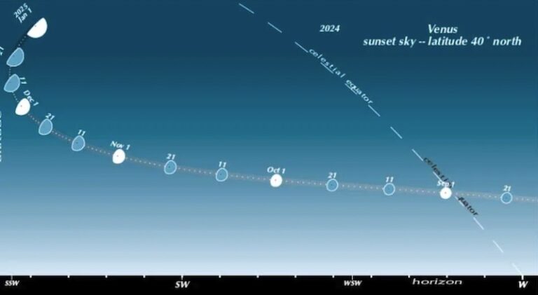 Guy Ottewell S Astronomical Calendar 2024 Is Here   Guy Ottewell Venus 2024 Evenings Chart 768x421 