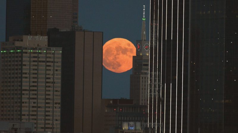 Orangish full Harvest Moon in the distance sandwiched between high rise buildings.