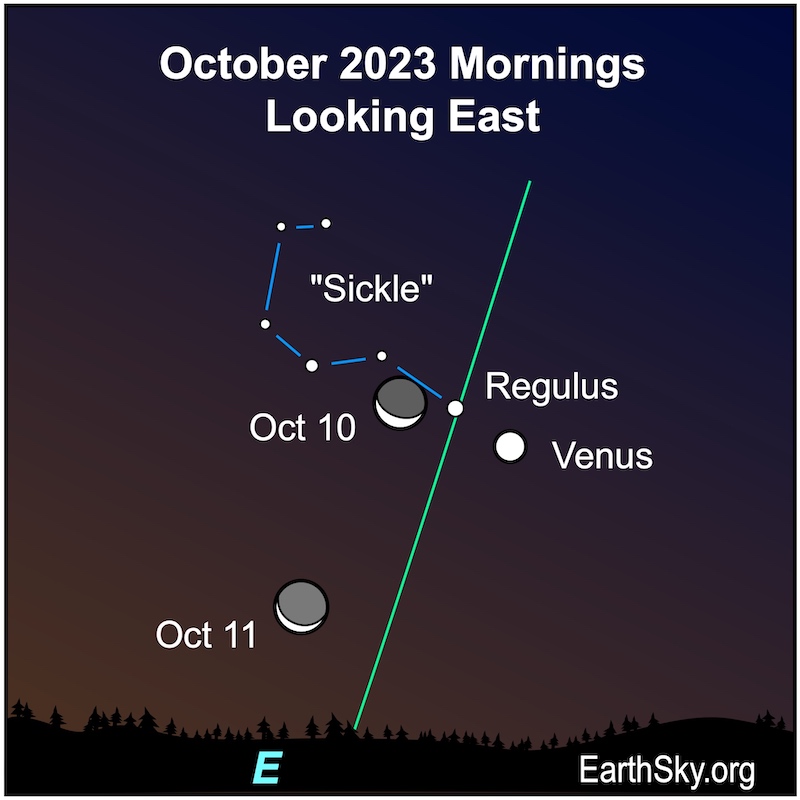 2 positions of the moon near Venus, star Regulus, and star group the Sickle all along a green ecliptic line.