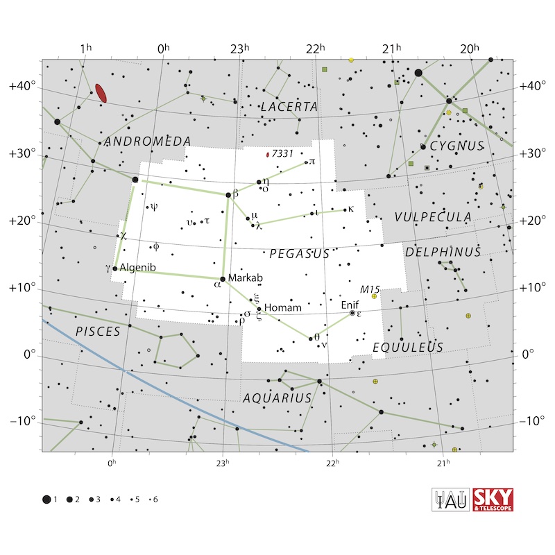 Star chart with black stars on white of constellation Pegasus with galaxy as small red oval.