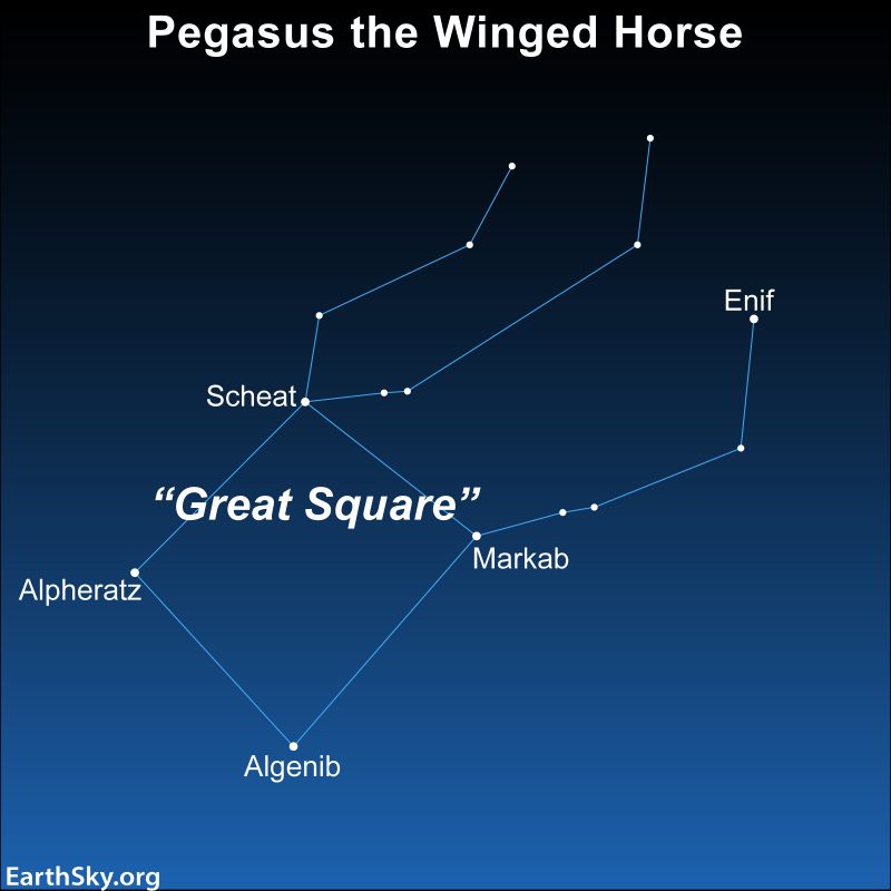 Great Square of Pegasus: Sky chart of the constellation Pegasus the Winged Horse with stars and Great Square labeled.