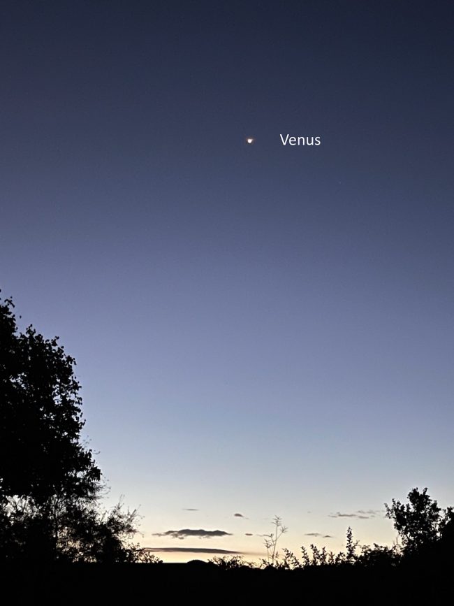 Venus brightest: Morning twilight, and a very bright planet, labeled as Venus.