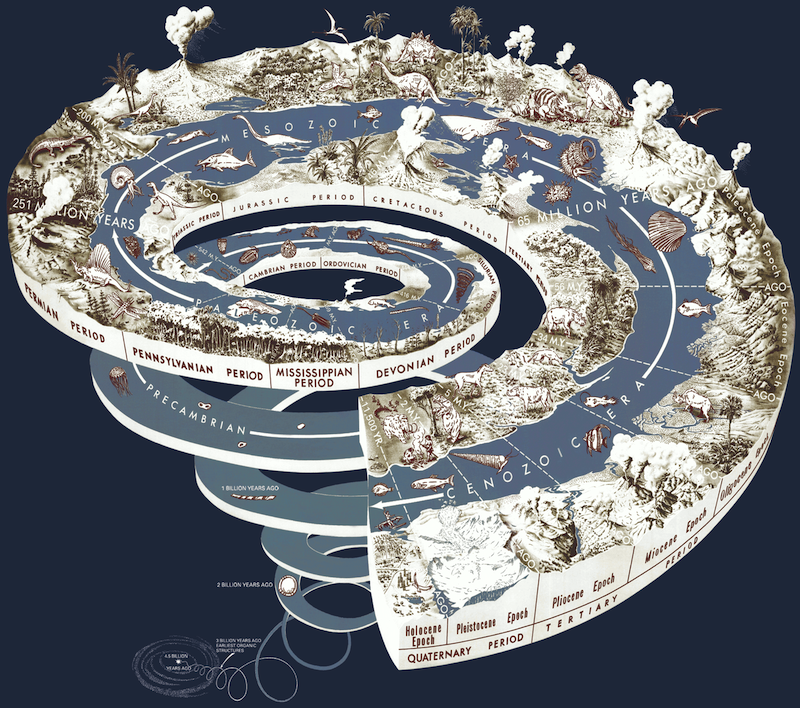 It is a long spiral terrain with lots of rocks and images of different types of life on it.