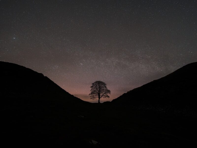 Sycamore Gap: Lone tree stands in a dip between hills with stars behind.