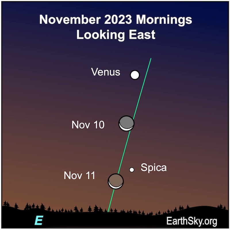 White dots for the moon over 2 days, Venus and Spica in November along a green ecliptic line.
