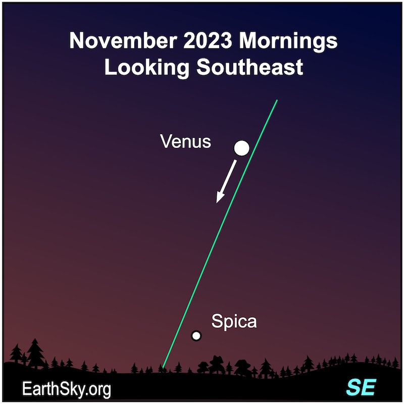 White dot for Spica and Venus as a white dot with an arrow showing its path in November along a green ecliptic line.
