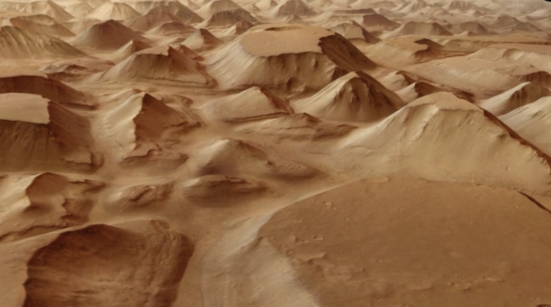 Mud lake on Mars: Brownish terrain with many small mounds and mesas.