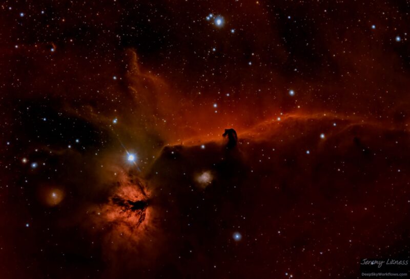 Large, deep red cloud of gas with a dark horsehead-shaped indentation in field of scattered bright stars.