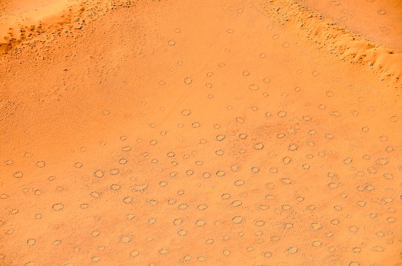 Orange terrain pockmarked with dozens of small circles or rings.