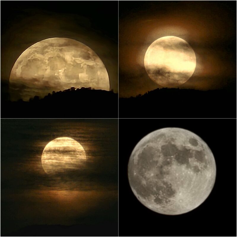 Four images of the full moon, 2 partly eclipsed, some hidden partially behind clouds.