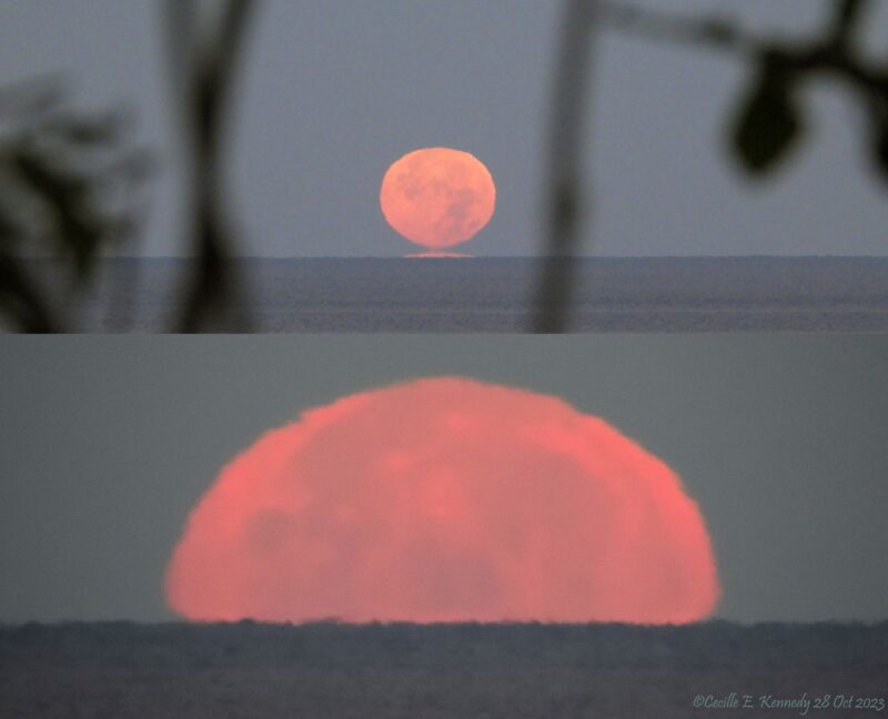 Two panels, top one with moon almost touching the sea and the other wavering pink sun halfway set.