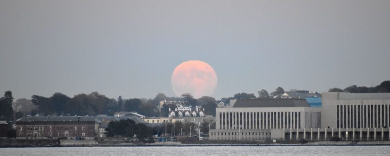 Large pale pink moon at horizon over water, buildings, and trees.