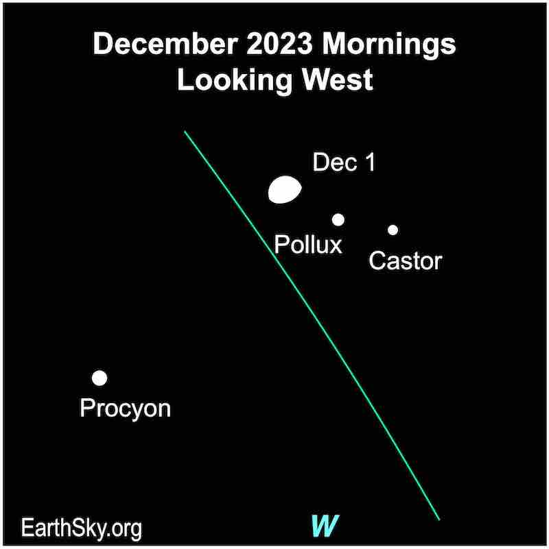 Moon on December 1 morning near Castor, Pollux Procyon.