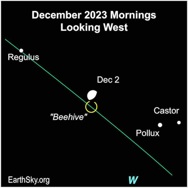 Moon on December 2 near the Beehive star cluster and near the stars Regulus, Castor and Pollux.