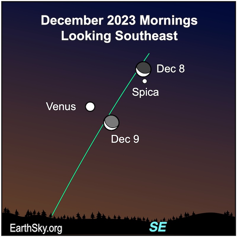 Moon on December 8 and 9 near Venus and Spica.