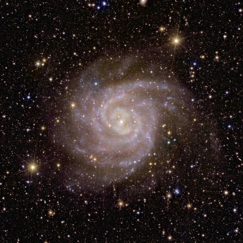 A spiral galaxy showing its arms and bright center among a background of stars.