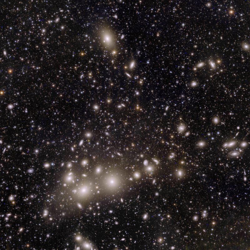 A cluster of galaxies with fuzzy outskirts amongst a field of more distant galaxies.