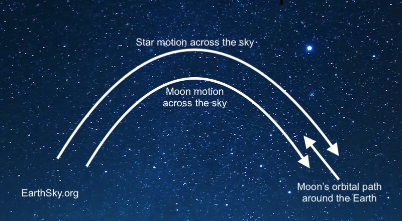 Chart showing path of stars and moon across the sky from east to west, and arrow pointing orbit of moon around Earth from west to east.