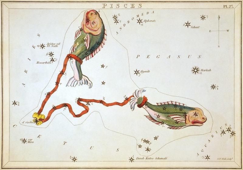 Antique colored etching of two fish tied together with a rope, in field of black-on-white stars.