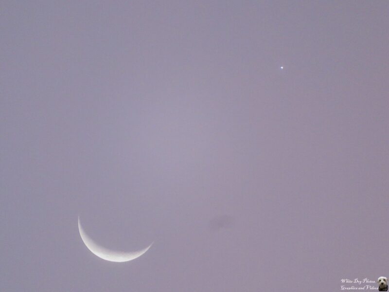 A gray sky with a thin crescent moon and a bright dot for Venus.