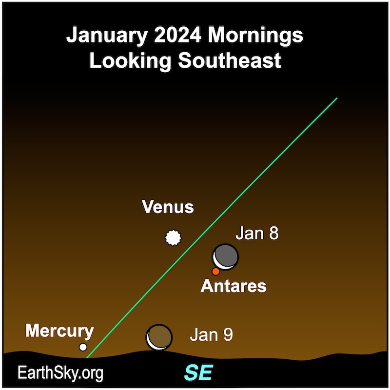 Star chart showing 2 crescent moons with Venus above and Mercury lower down.