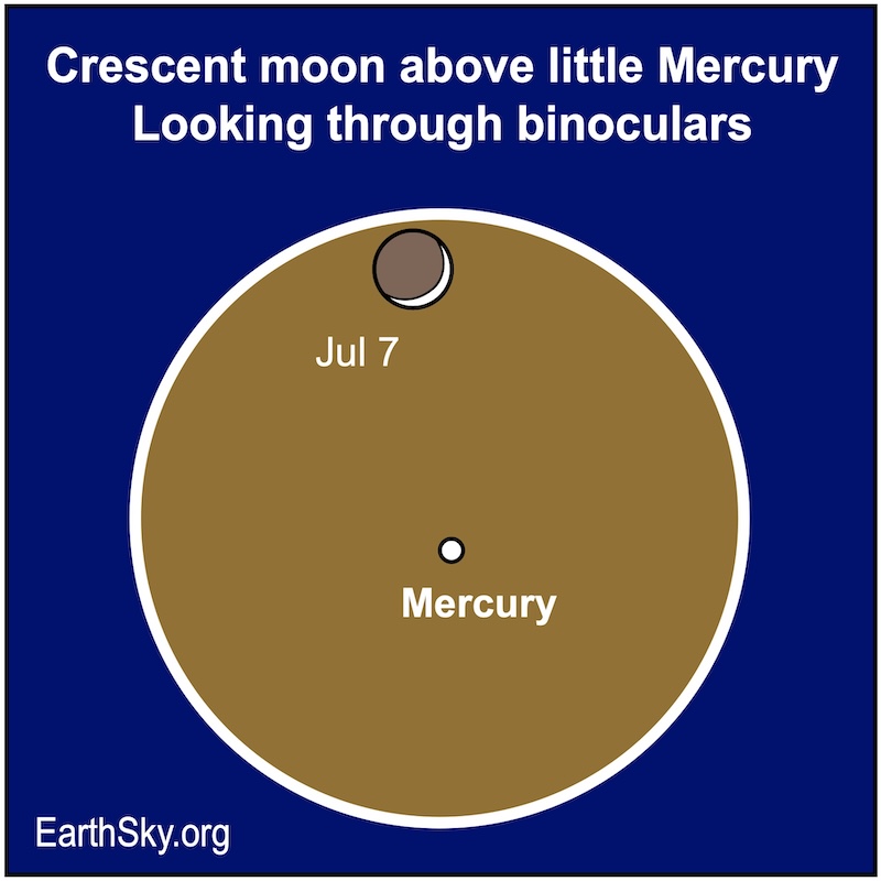 A circle showing a binocular view with a crescent moon inside and a dot for Mercury.