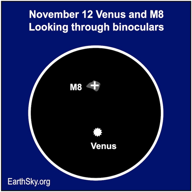 Circle showing a binocular view with a dot for Venus near a blob labeled M8.
