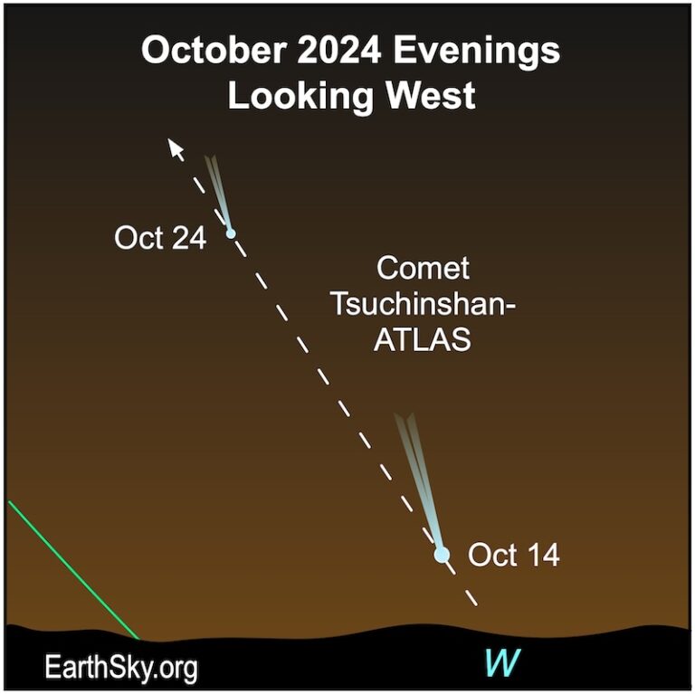 Can you see Comet A3 TsuchinshanATLAS with the unaided eye?