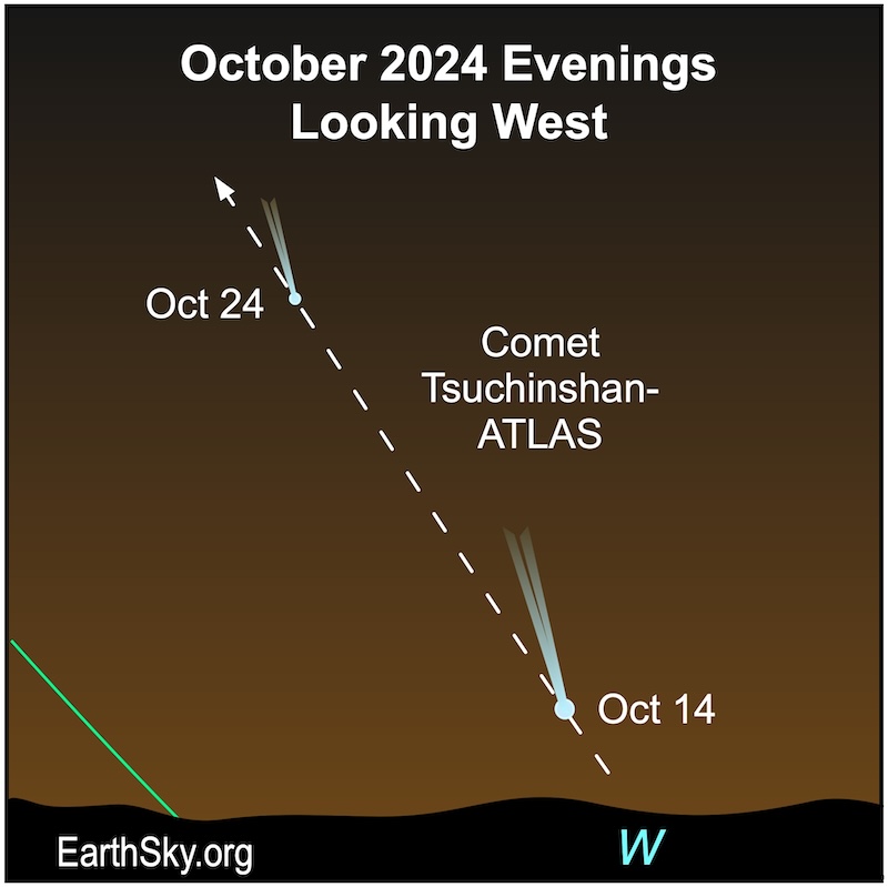 Star chart showing a comet with tail pointing away from the horizon for 2 dates, 1 closer to the horizon and 1 higher up.