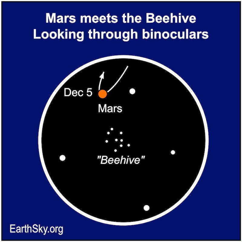 Binocular view of Mars and the Beehive on December 5. Mars looks red and is at the top. The Beehive looks like a group of white dots.