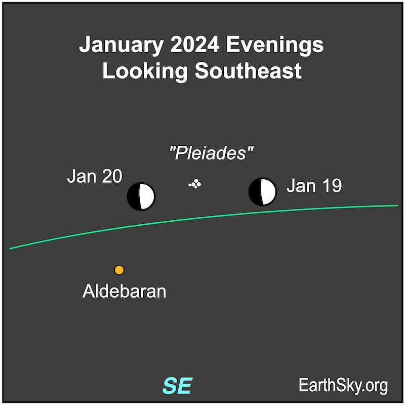 Moon on January 19 and 20 near Pleiades and Aldebaran.