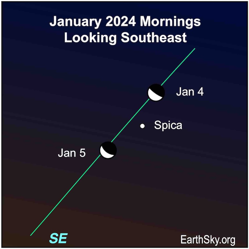 Moon on the mornings of January 4 and 5 near Spica.