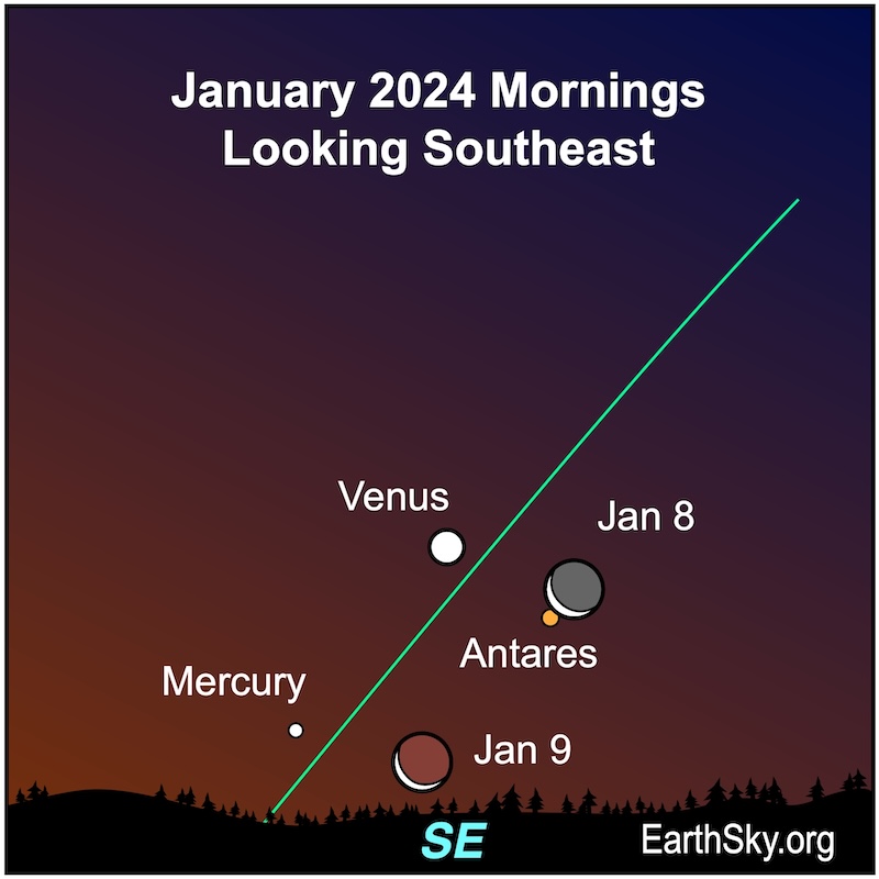 Moon on the mornings of January 8 and 9, 2024, near Antares, Venus and Mercury.