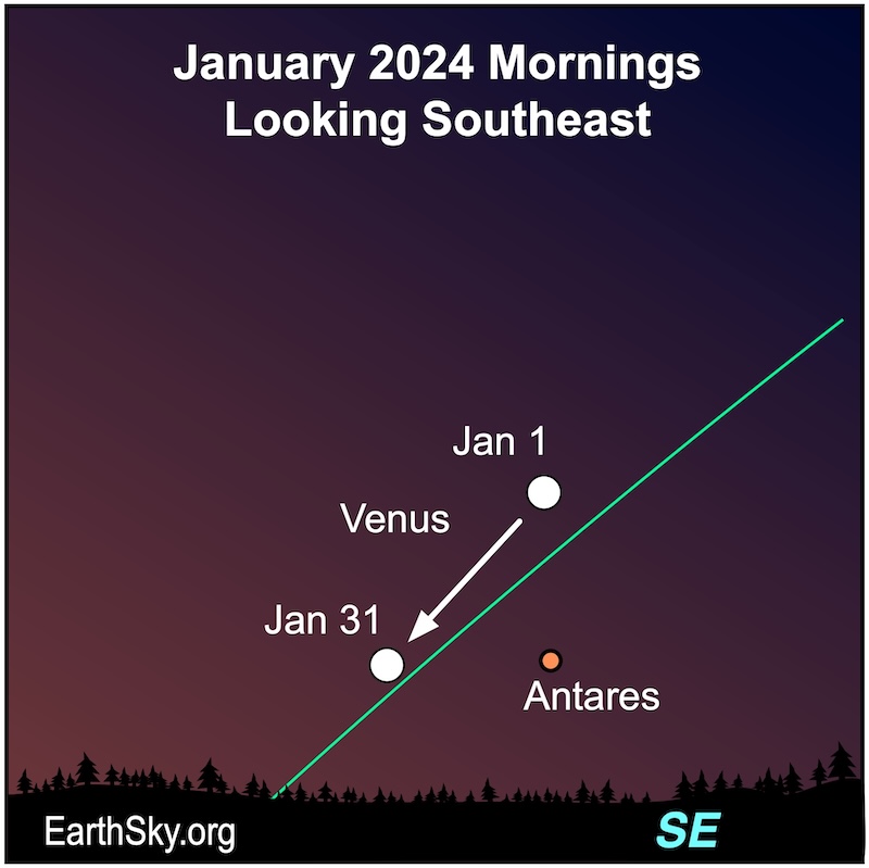 Venus in January.