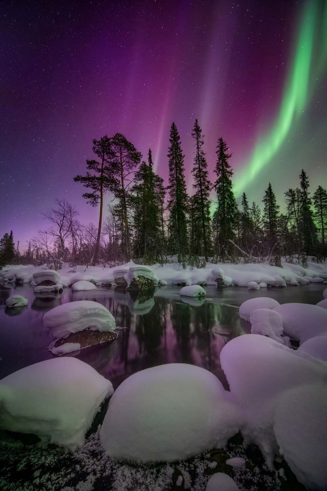 Snow piled on stones near a creek with evergreen trees and purple and green aurora in the background.